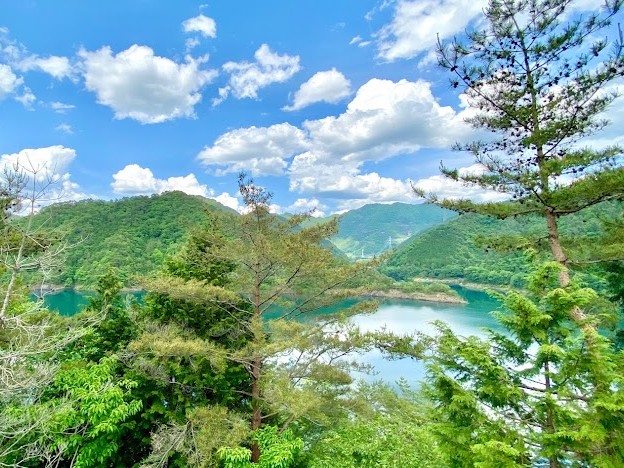 webスクロール写真